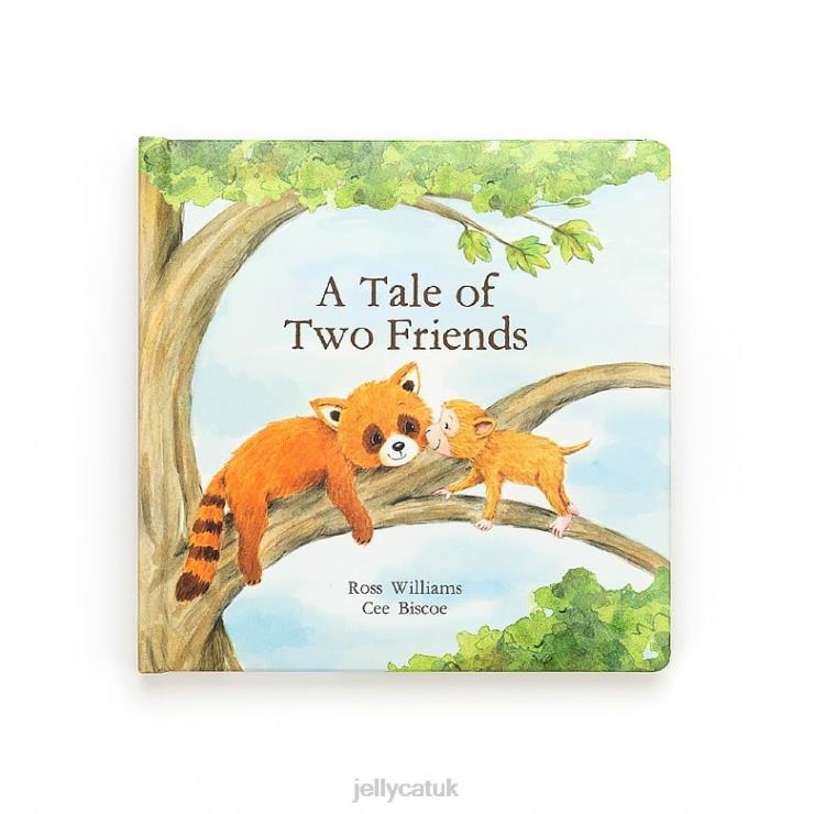 Jellycat Book V248Z780 A Tale Of Two Friends Book Multi-colour